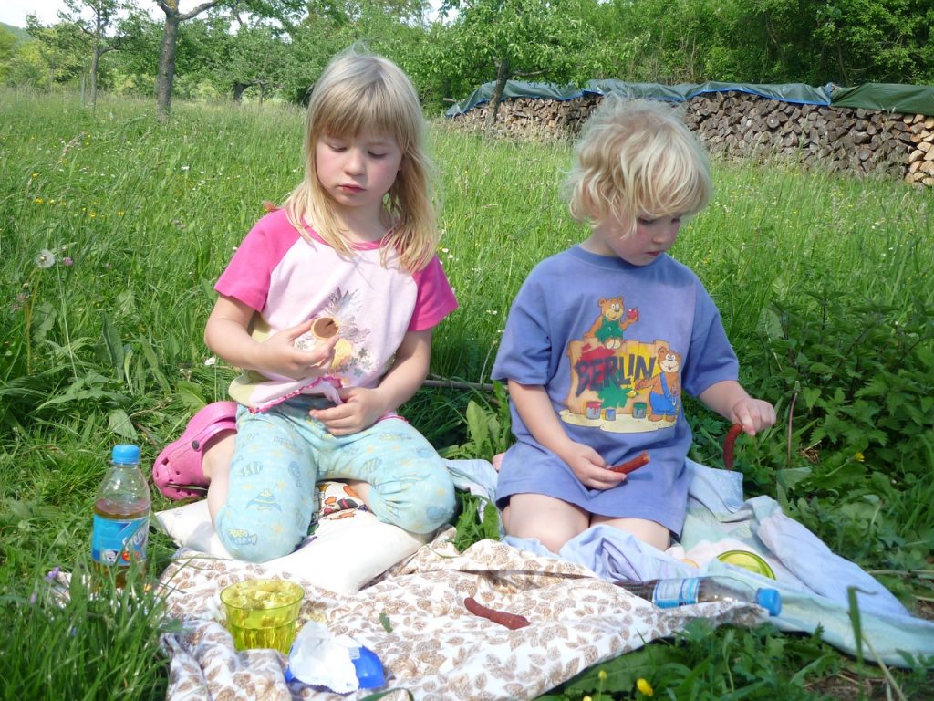 children, picnic, siblings-419432.jpg