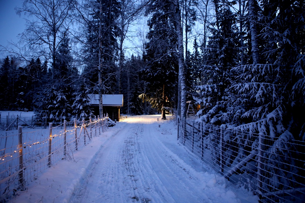 nature, winter, season, trees, snow, christmas, lights, countryside, christmas wallpaper, christmas, christmas, christmas, christmas, christmas